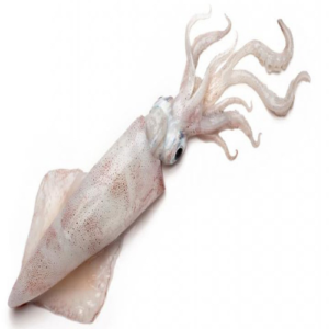 9403d7a6 9cb6 4b1a 8d6e 3381da7b5abc.png