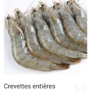 bfead13b bdd0 4104 8772 0e6284f8202a.png